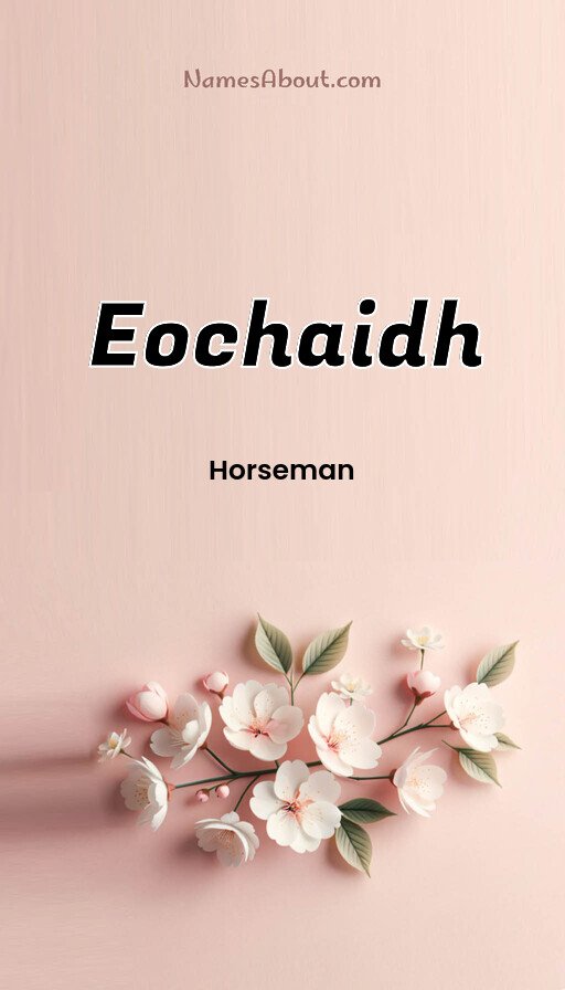Meaning of Eochaidh