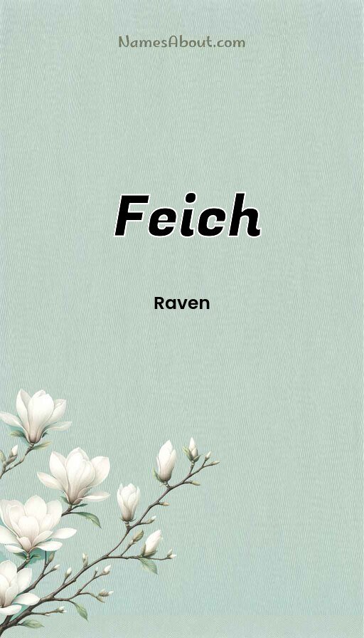 Meaning of Feich