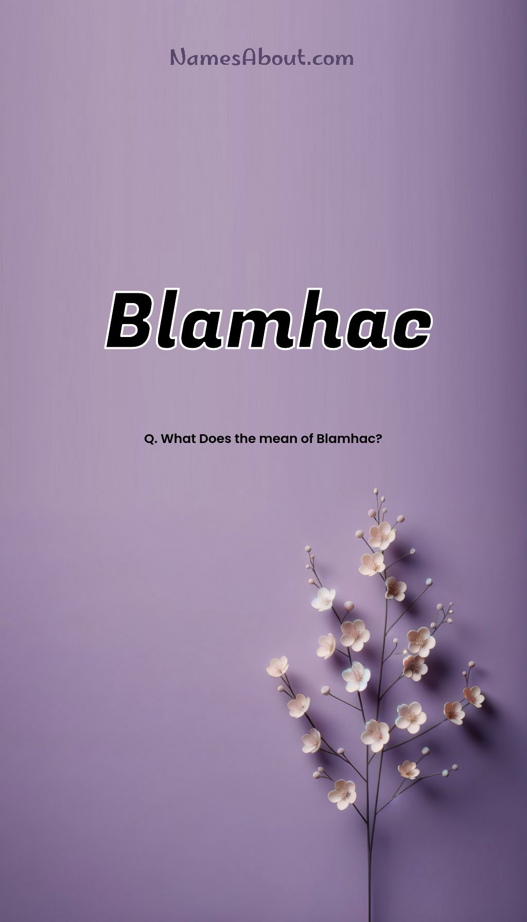 Blamhac name and meaning