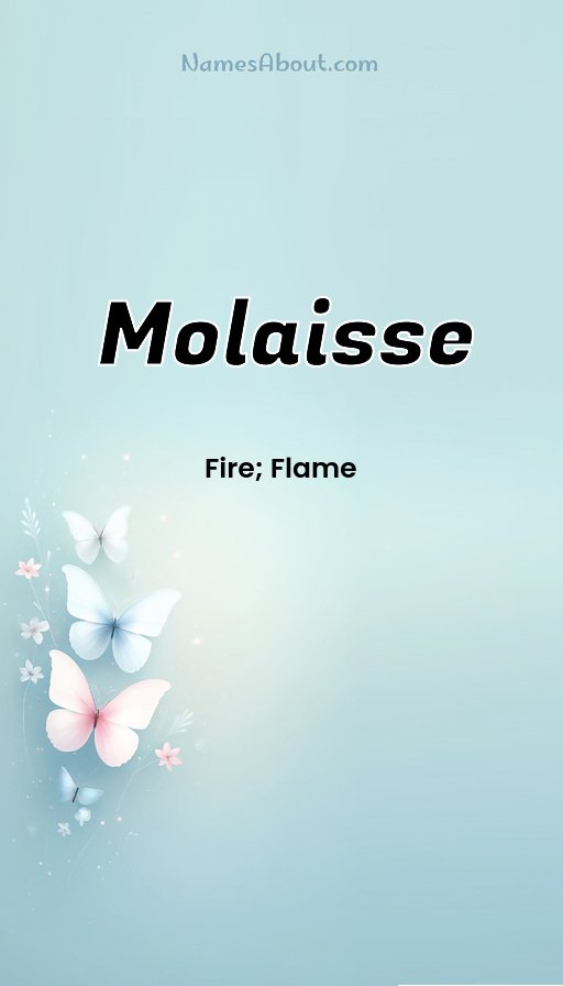 Meaning of Molaisse
