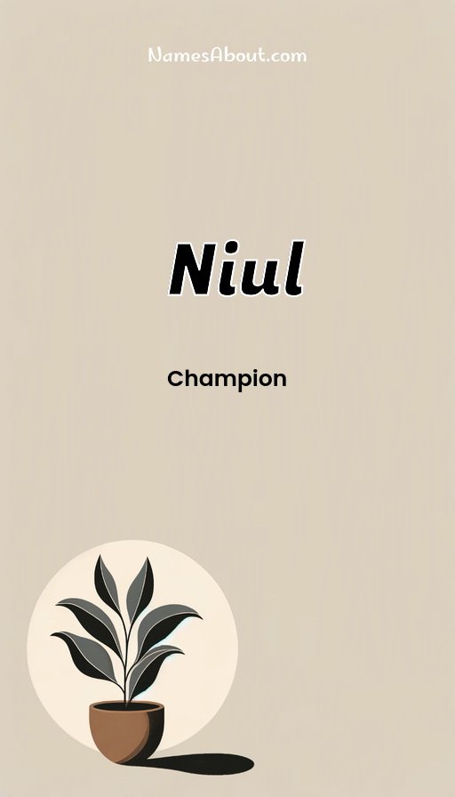 Meaning of Niul