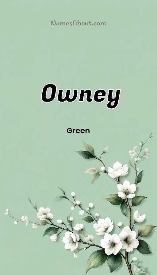Meaning of Owney