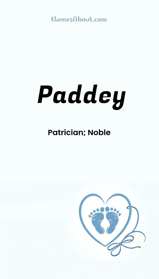 Meaning of Paddey