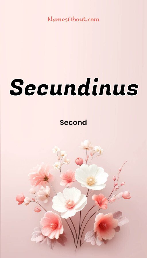 Meaning of Secundinus