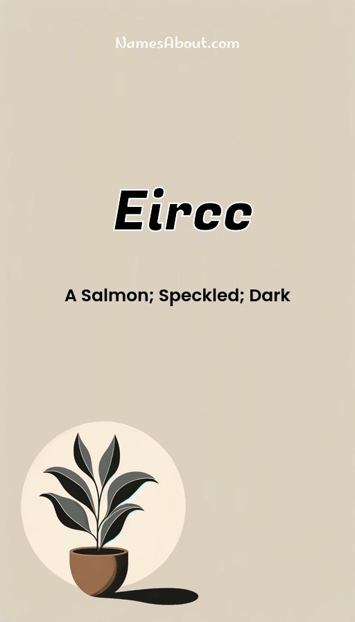 Meaning of Eircc