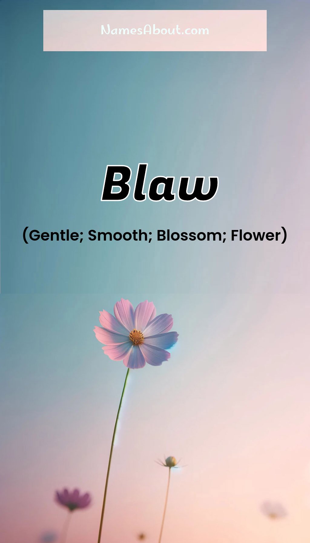 Blaw name and meaning