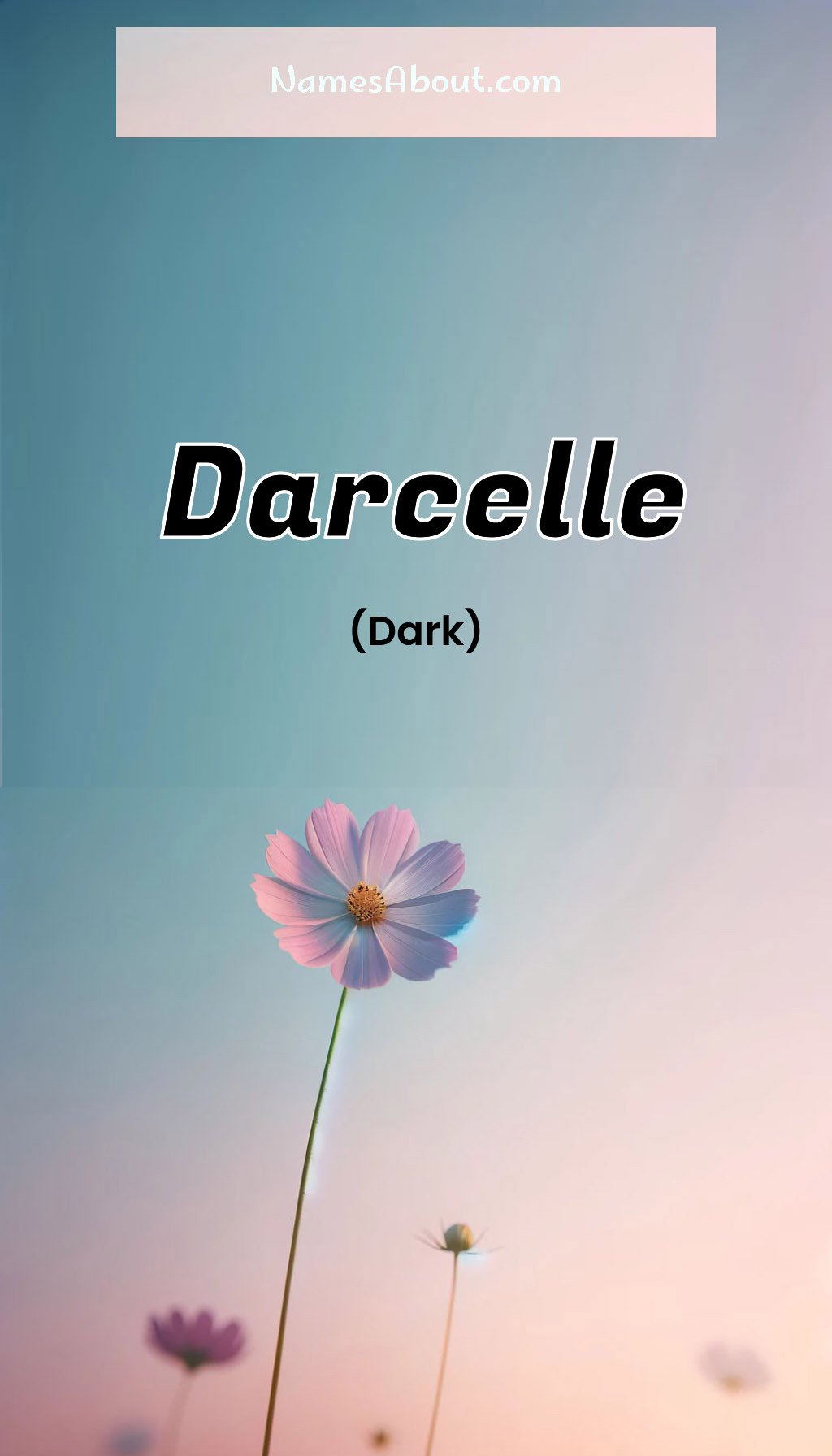 Darcelle name and meaning