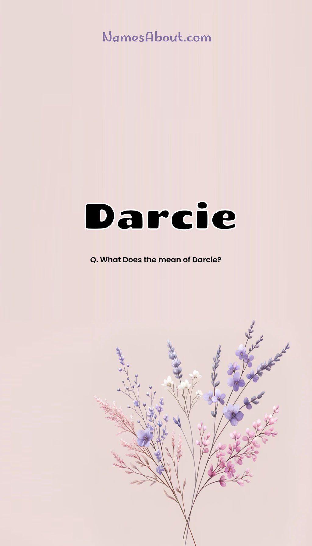 Darcie name and meaning