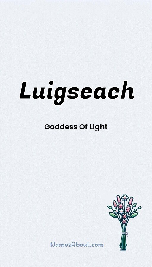 Meaning of Luigseach