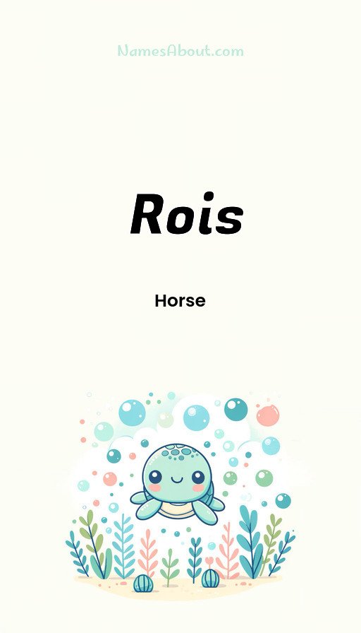 Meaning of Rois