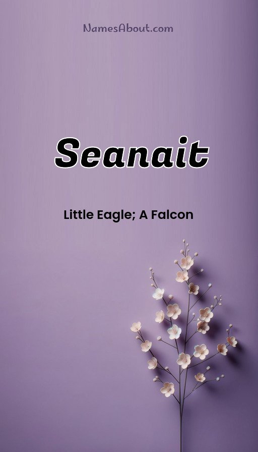 Meaning of Seanait