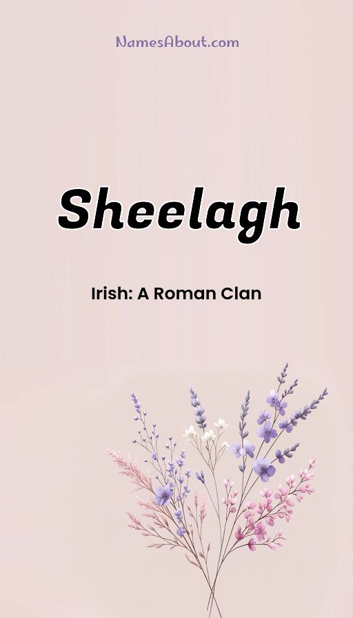 Meaning of Sheelagh