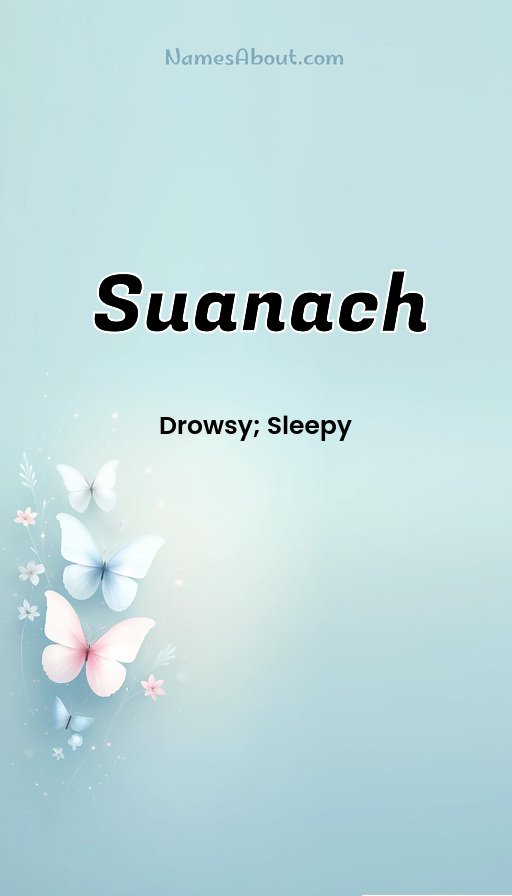 Meaning of Suanach