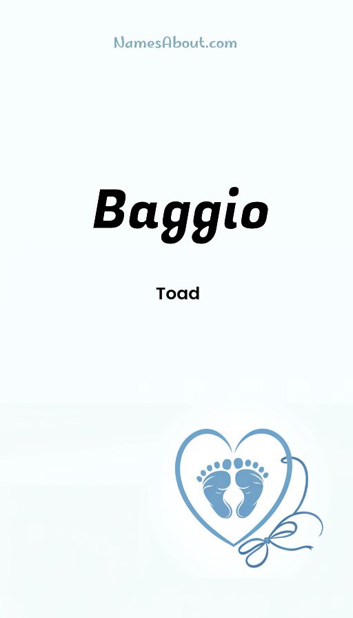 Meaning of Baggio