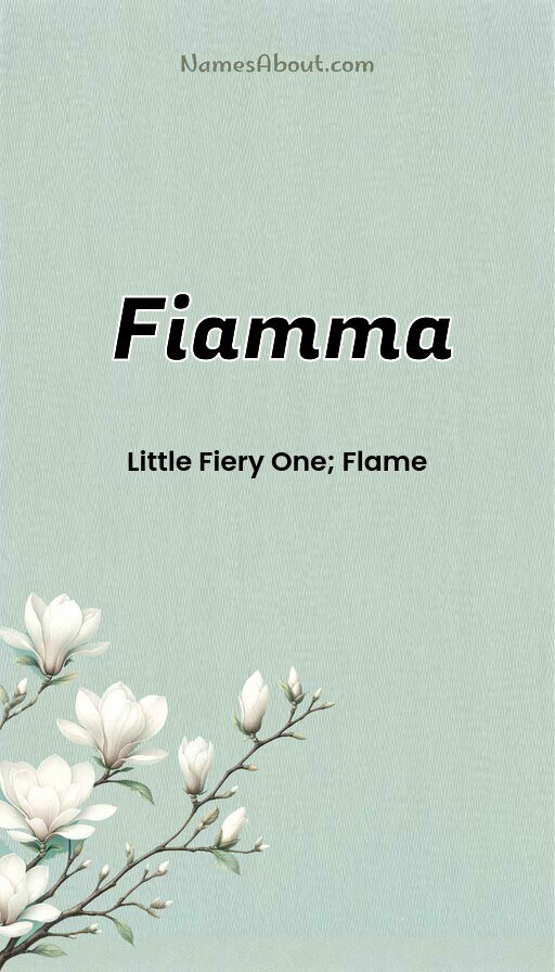 Meaning of Fiamma