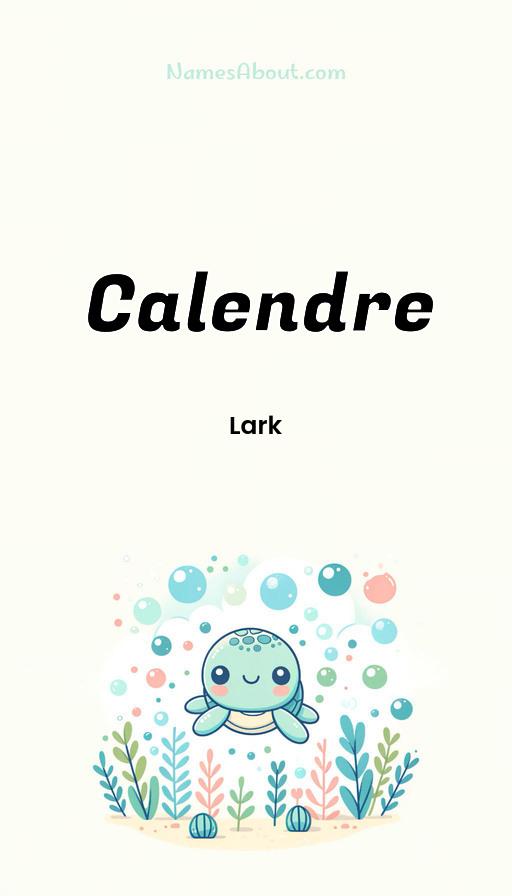 Meaning of Calendre