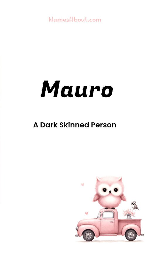 Meaning of Mauro