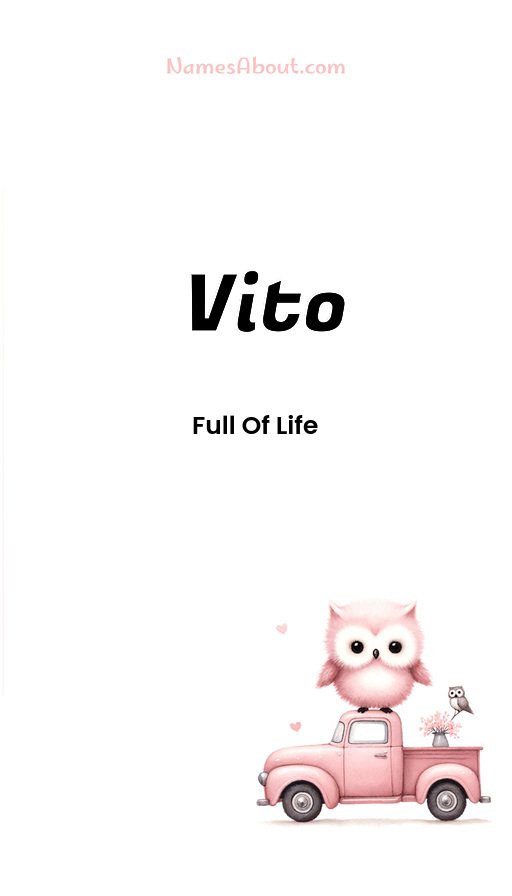 Meaning of Vito