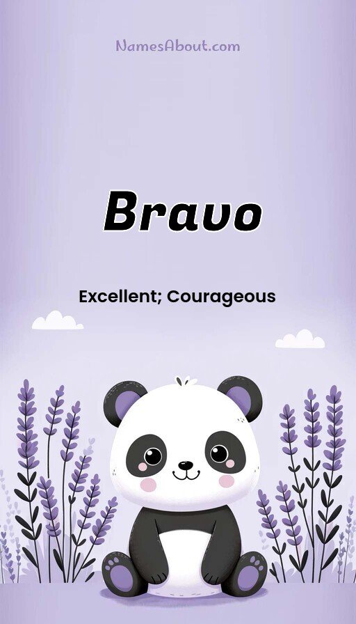 Meaning of Bravo