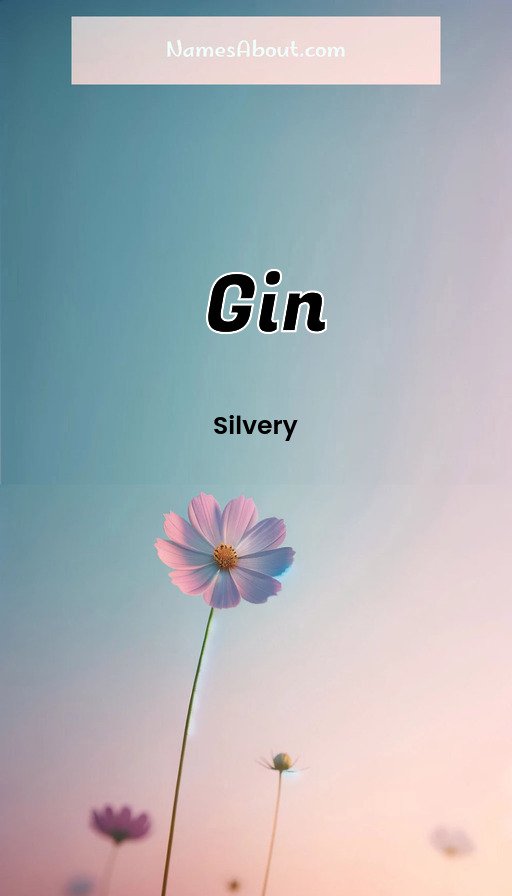 Meaning of Gin