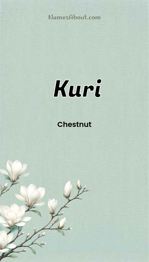 Meaning of Kuri