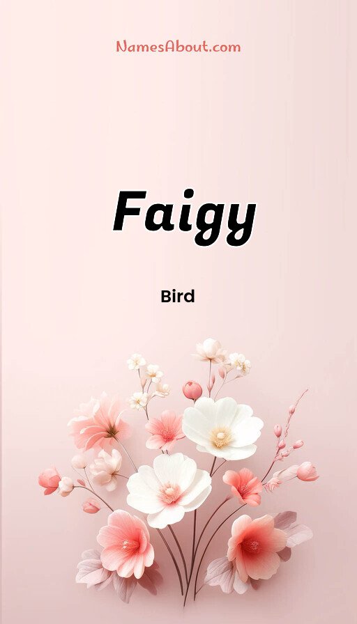 Meaning of Faigy