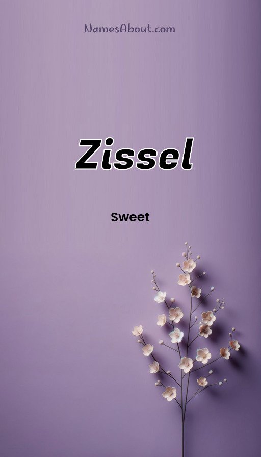 Meaning of Zissel