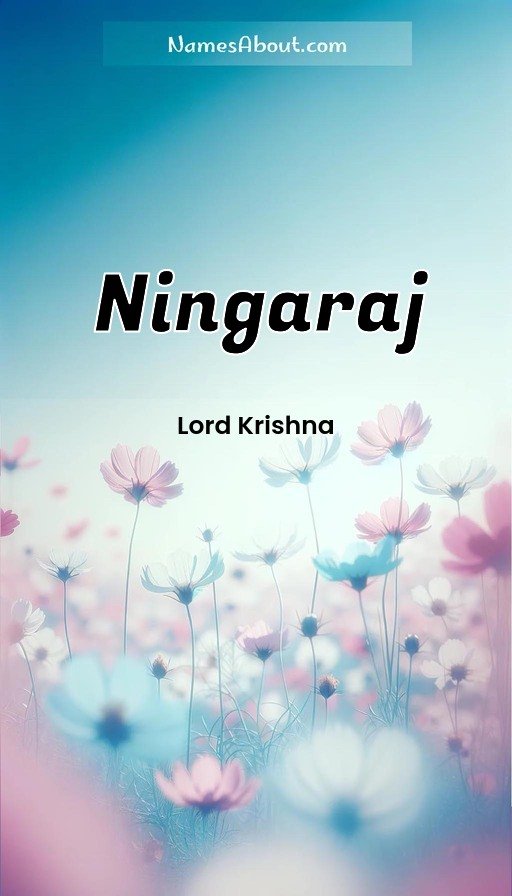 Meaning of Ningaraj