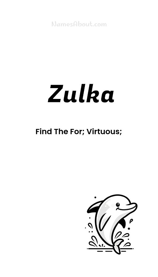 Meaning of Zulka