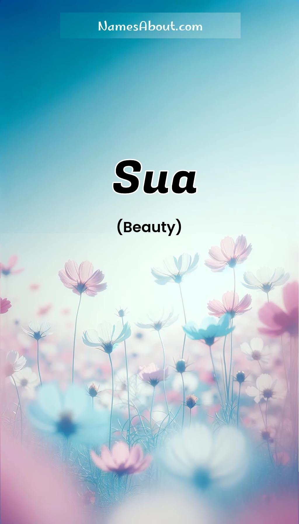 Sua name and meaning