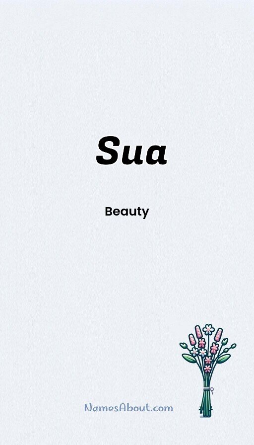 Meaning of Sua