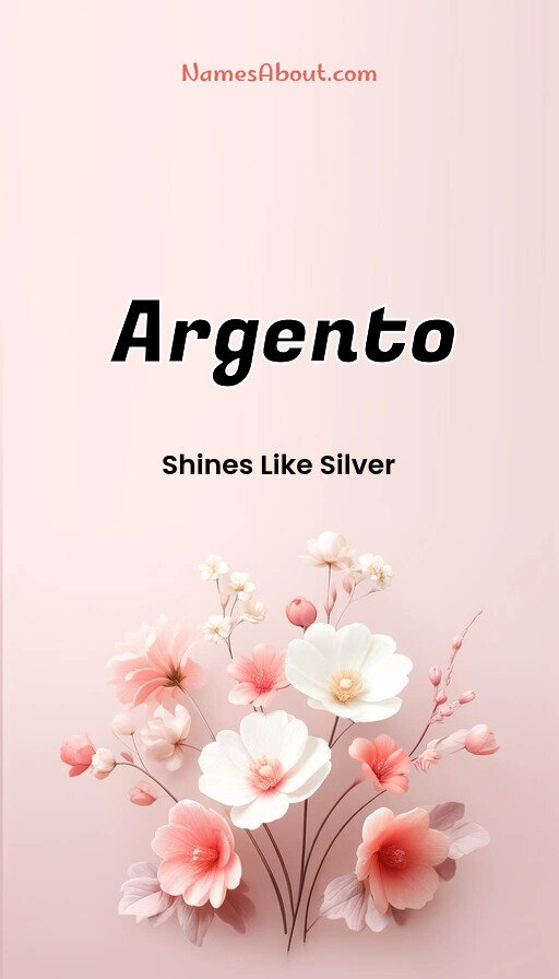 Meaning of Argento