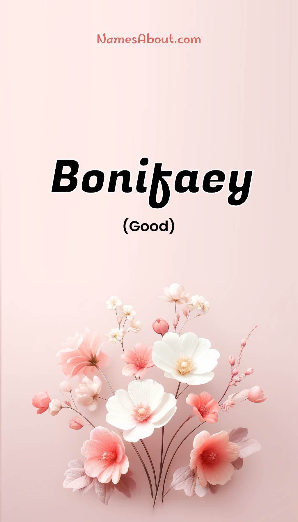 Bonifaey name and meaning