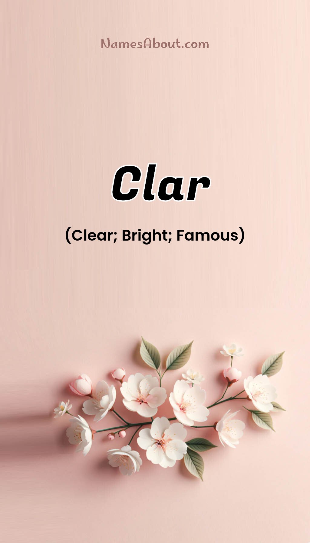 Clar name and meaning