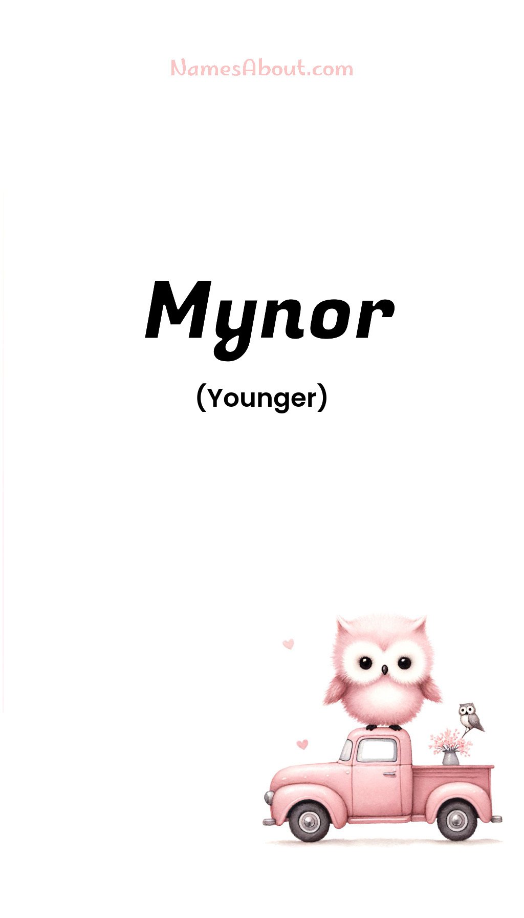 Mynor name and meaning