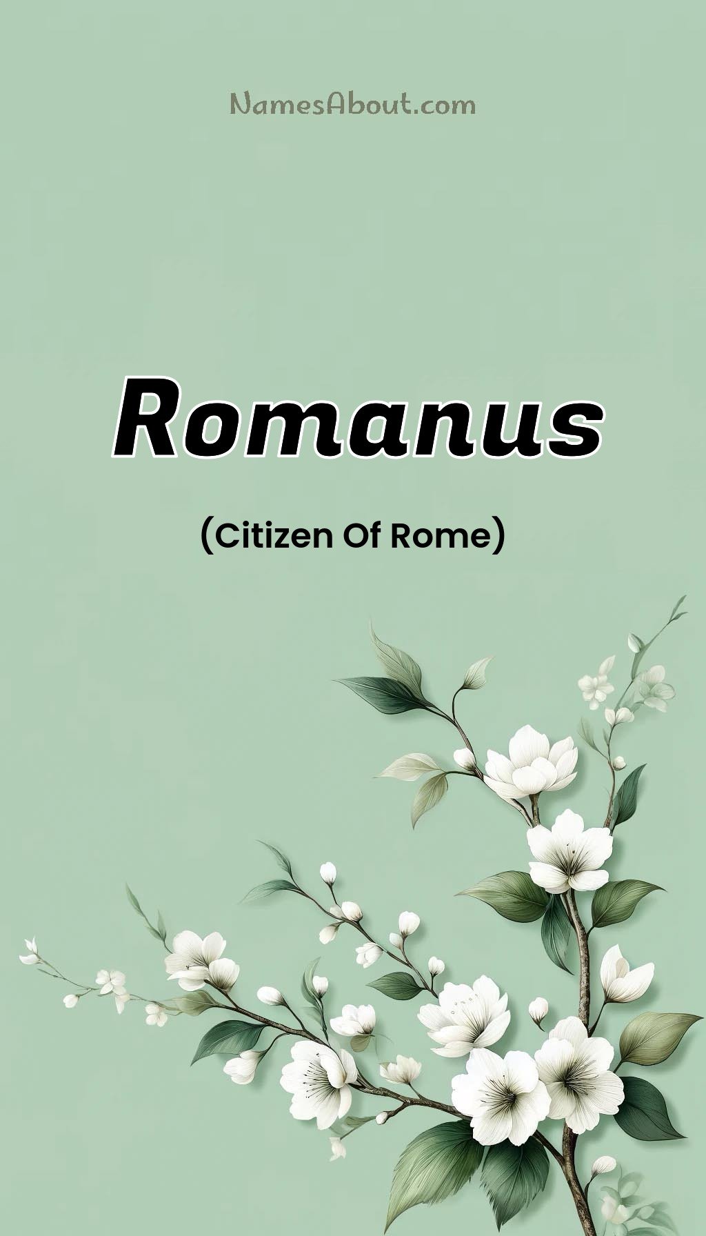 Romanus name and meaning