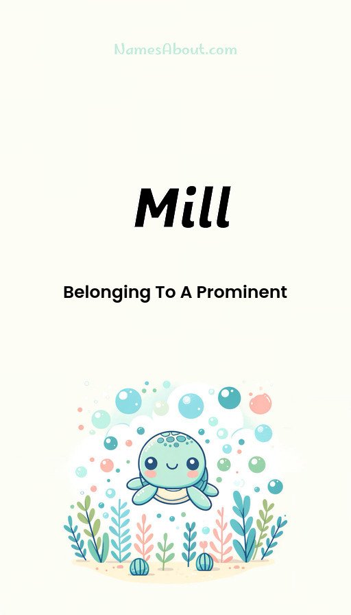 Meaning of Mill