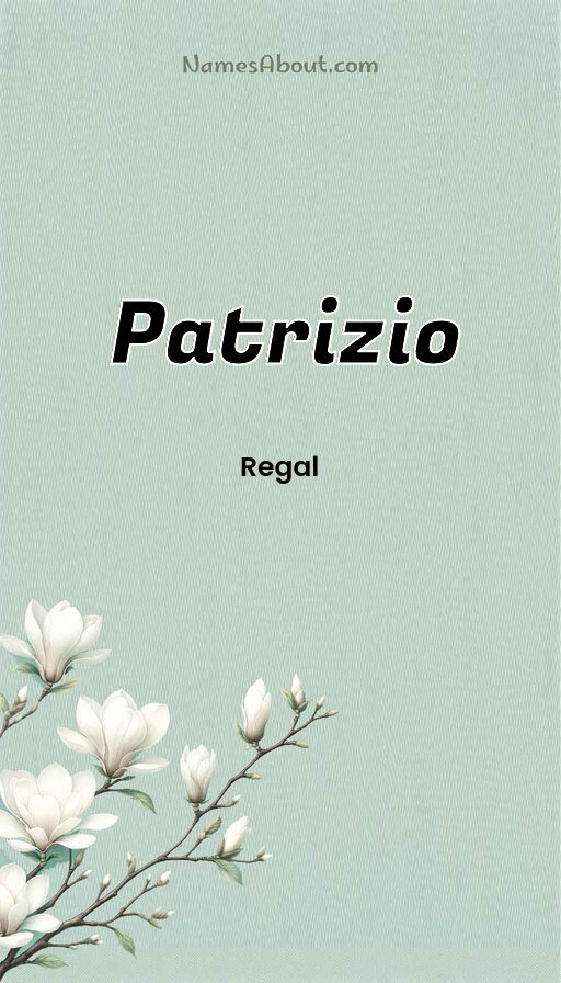 Meaning of Patrizio