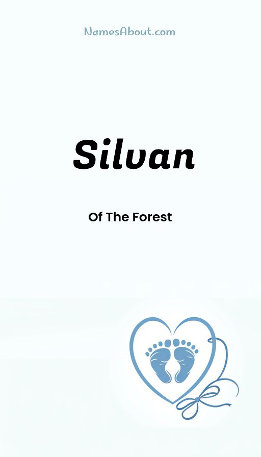 Meaning of Silvan