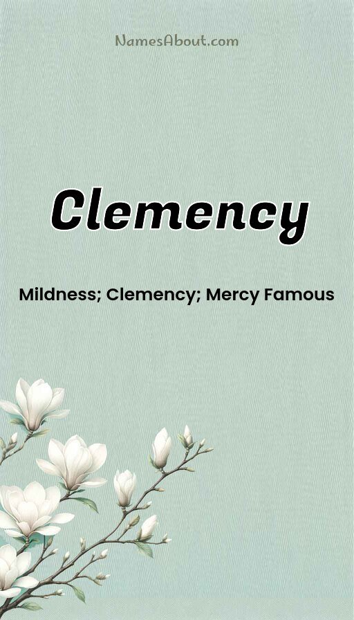 Meaning of Clemency