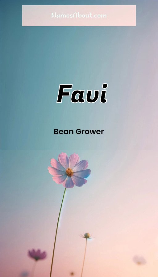 Meaning of Favi