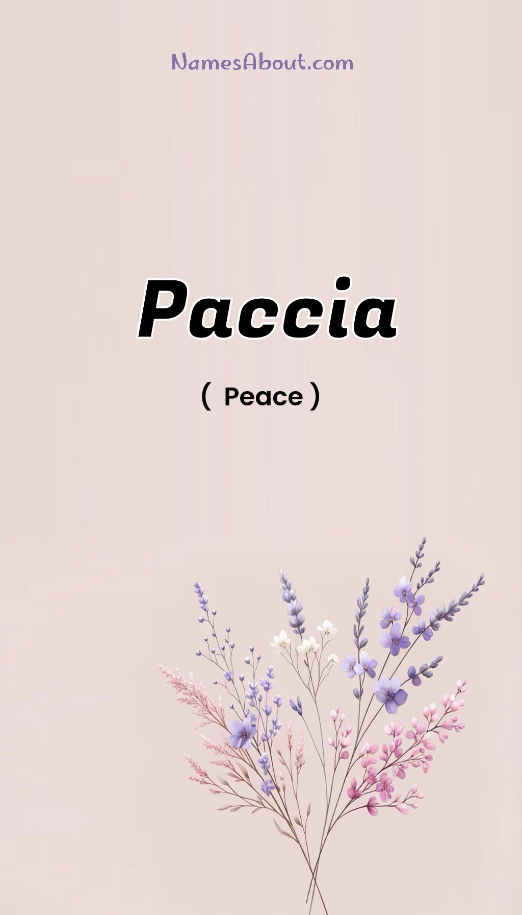 Paccia name and meaning