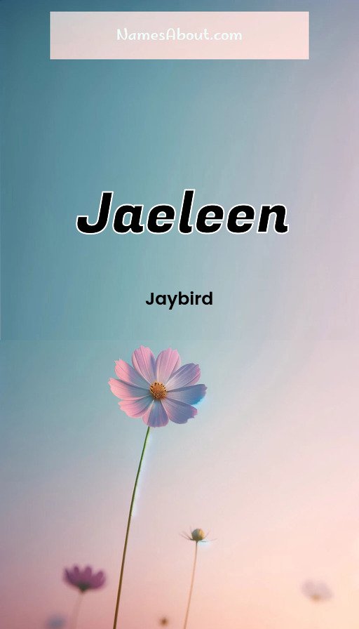 Meaning of Jaeleen