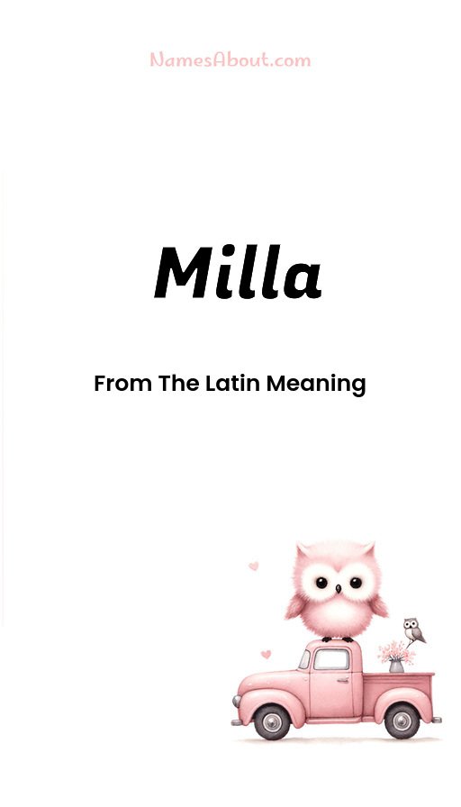 Meaning of Milla