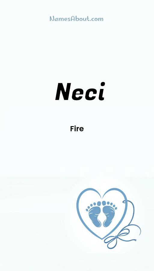 Meaning of Neci