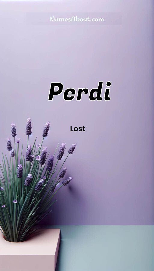 Meaning of Perdi