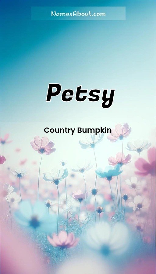 Meaning of Petsy