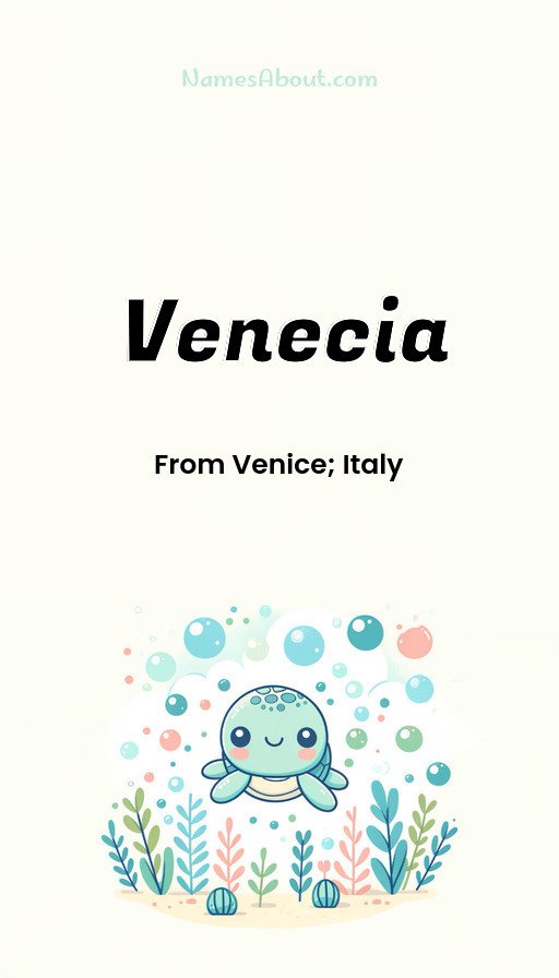 Meaning of Venecia
