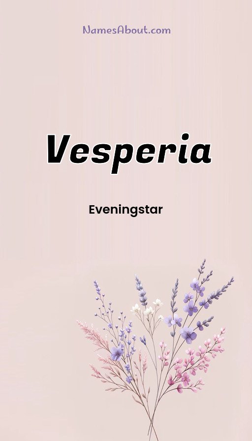 Meaning of Vesperia