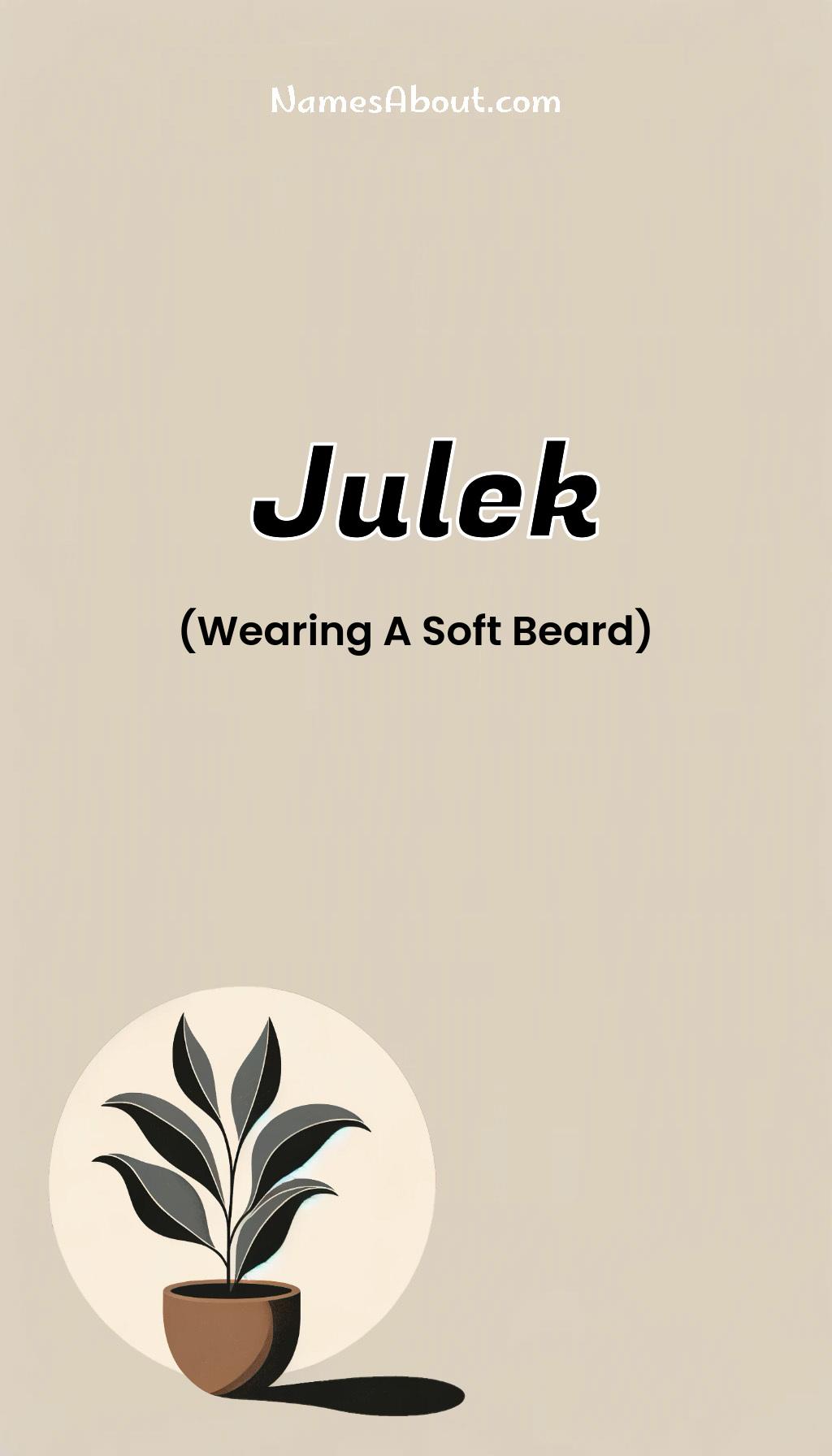 Julek name meaning, Meaning of Julek, Julek name origin, Julek name personality, Julek name numerology, Julek name significance, Julek name lucky number, Julek name traits, Popularity of Julek name, Spiritual meaning of Julek, Unique name Julek meaning